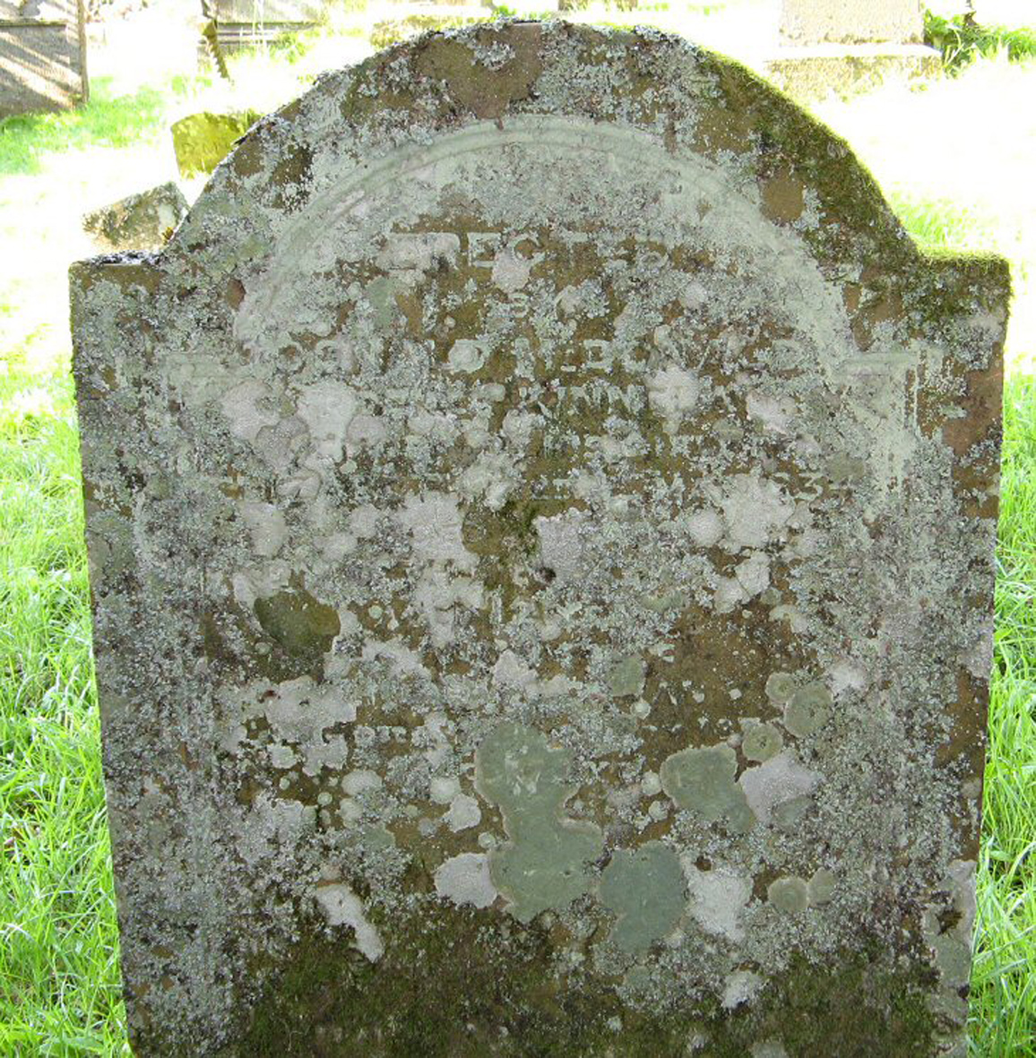Photo of headstones/Lilly McLennan died 1876 MI Strathpeffer Kinnettas